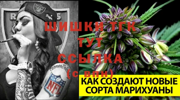 МДПВ Лиски