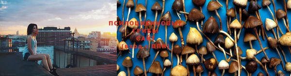 марки lsd Липки