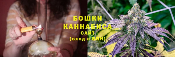 МДПВ Лиски