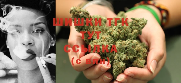 МДПВ Лиски