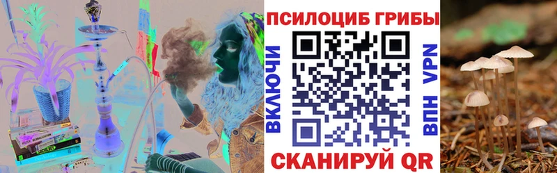 Псилоцибиновые грибы Psilocybine cubensis  купить  цена  Химки 