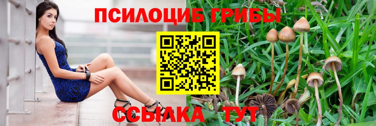 что такое   Вход с VPN  Химки  Псилоцибиновые грибы ЛСД 