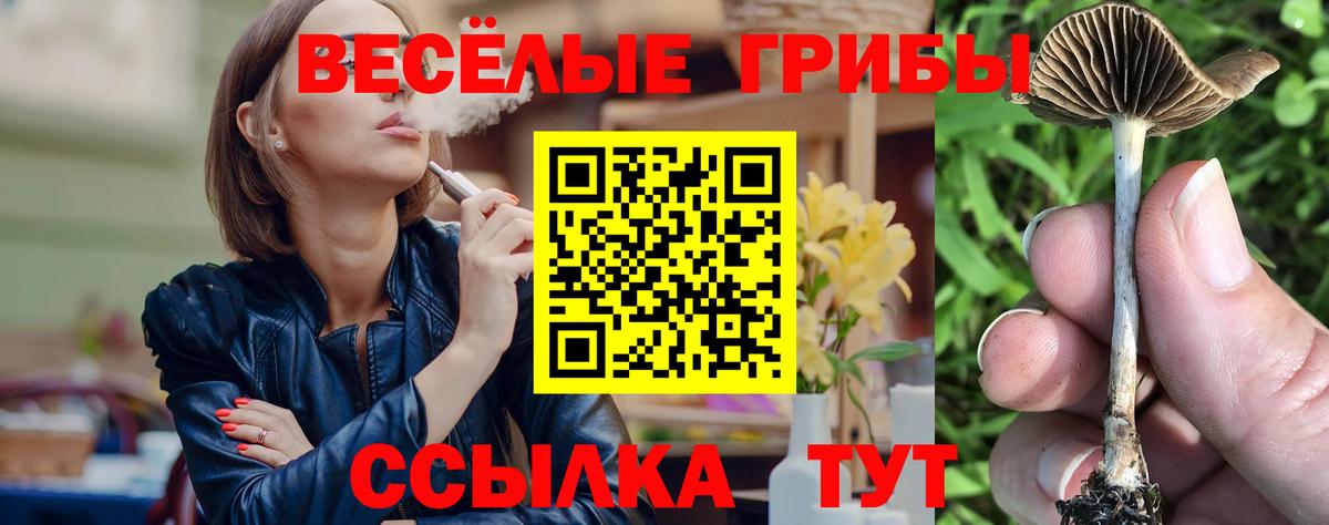 Галлюциногенные грибы прущие грибы Химки