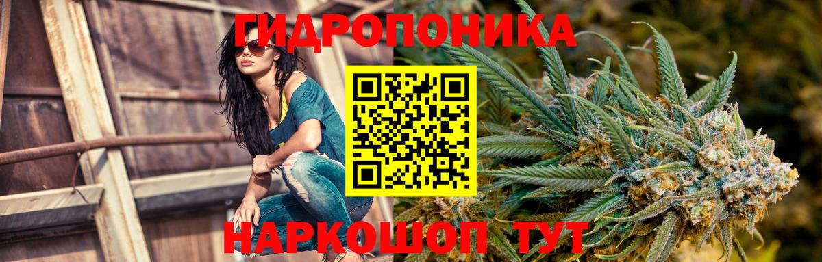Конопля гибрид  МАРИХУАНА MAZAR  Вход с VPN  Канабис план  Химки 